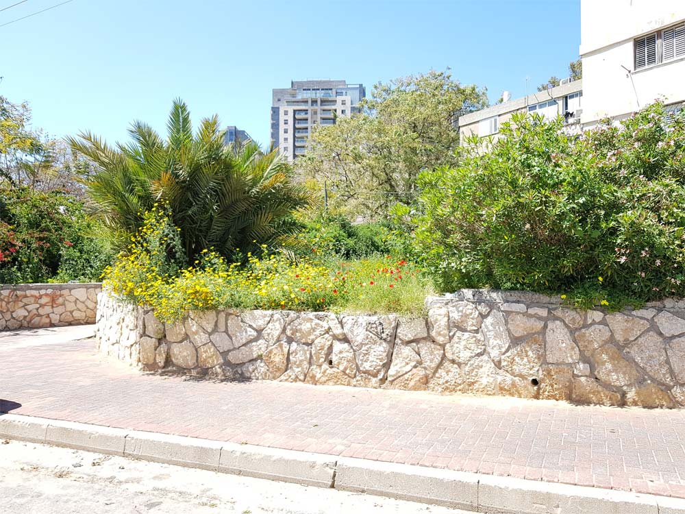 1ראשי דירה למכירה ברחובות 3 חדרים שכונת אבן גבירול ברחוב דוד אלעזר