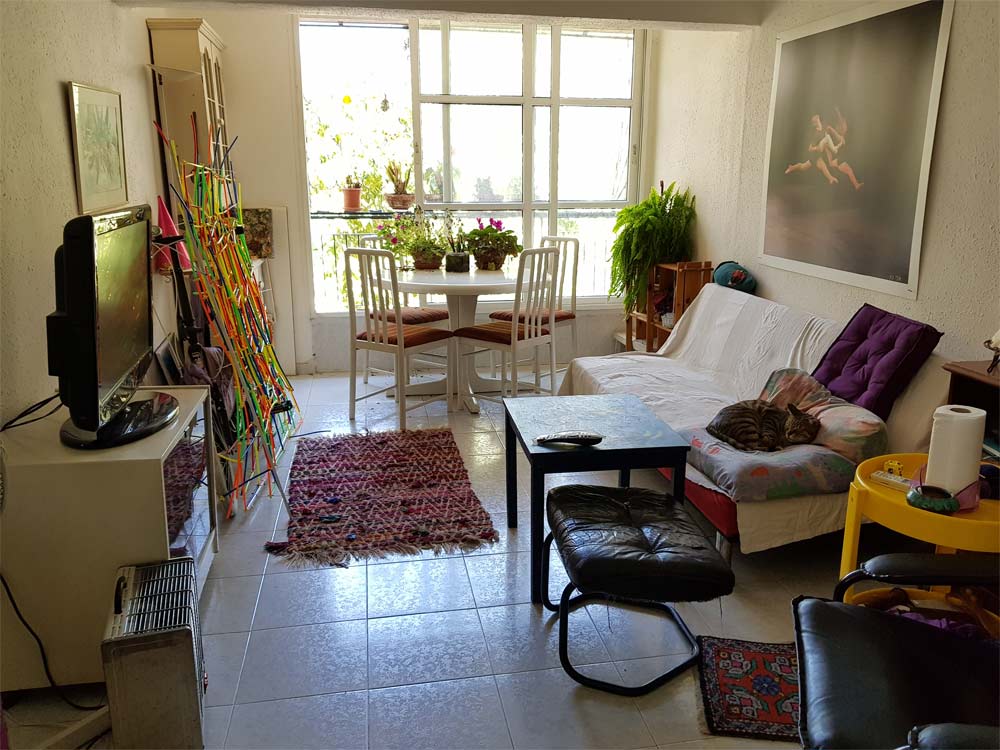 2 (1) דירה למכירה ברחובות 3 חדרים שכונת אבן גבירול ברחוב דוד אלעזר