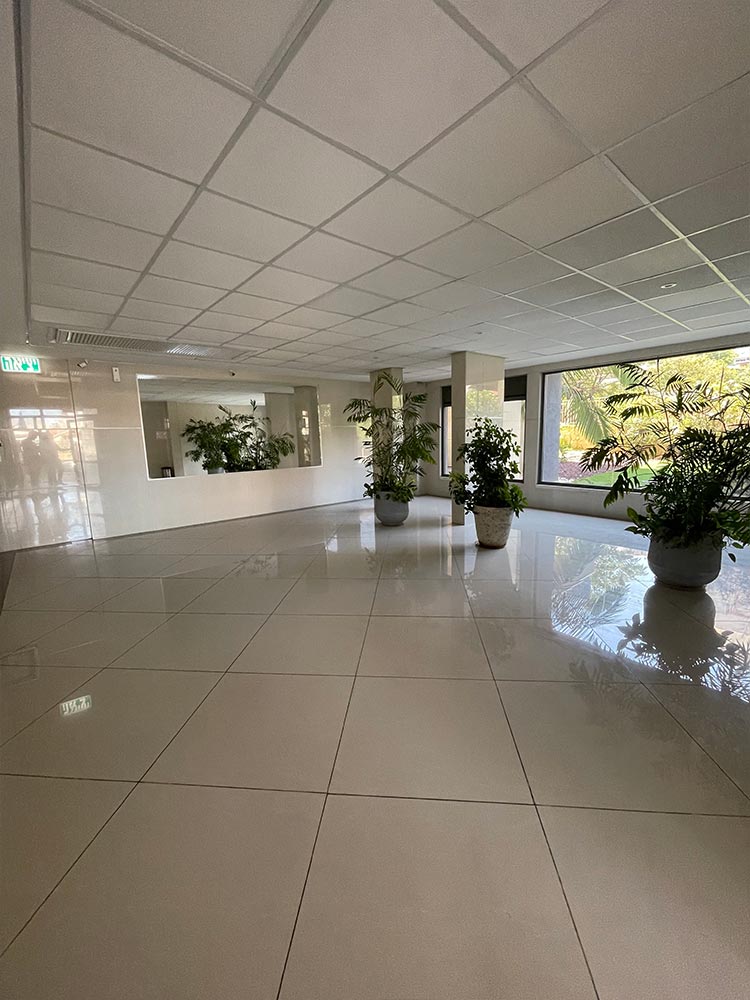 רחוב ארלוזורוב ברחובות