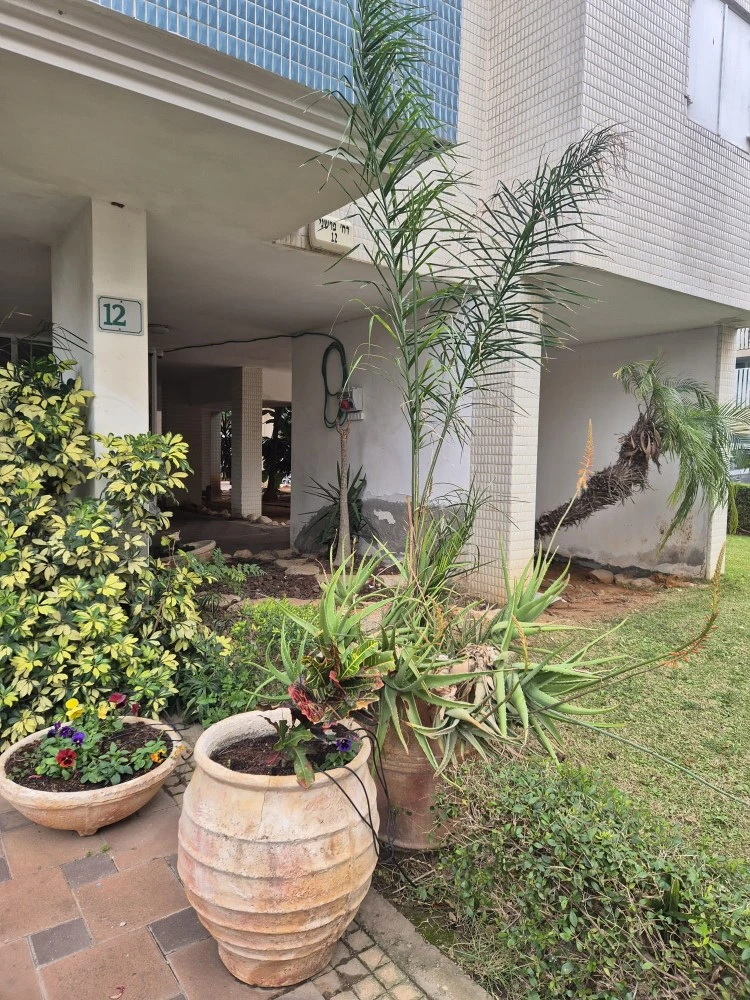 7dd4210e-b1ea-4031-bb39-ba69ba00d4cc