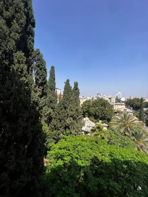 רחוב-הרשנזון-מרכז-העיר-2 (2)